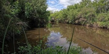Hombre y una mujer son imputados por presunta muerte de un compañero de pesca