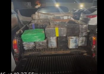 Se incautan de supuesta marihuana prensada en allanamiento en Ypehú