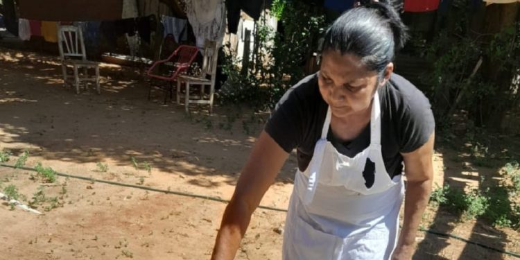 El 38,5% de los hogares paraguayos está encabezado por mujeres