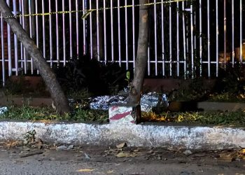 Mató a su propio hermano tras una discusión