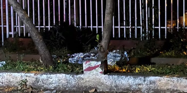 Mató a su propio hermano tras una discusión