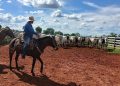 Investigan robo de 21 toros de una estancia en Yby Yaú