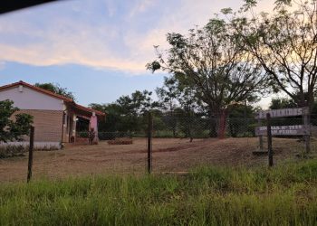 SENAD anuló «supermercado» de drogas que operaba en torno a un centro educativo