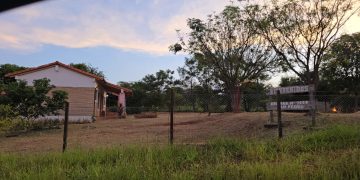 SENAD anuló «supermercado» de drogas que operaba en torno a un centro educativo