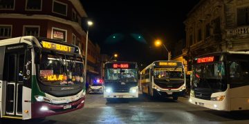 Red Búho: un año de transporte nocturno al servicio de los pasajeros