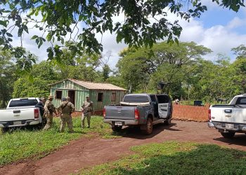 Desmantelan enclave de producción de variedades premium de cannabis destinadas al mercado brasileño