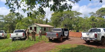 Desmantelan enclave de producción de variedades premium de cannabis destinadas al mercado brasileño