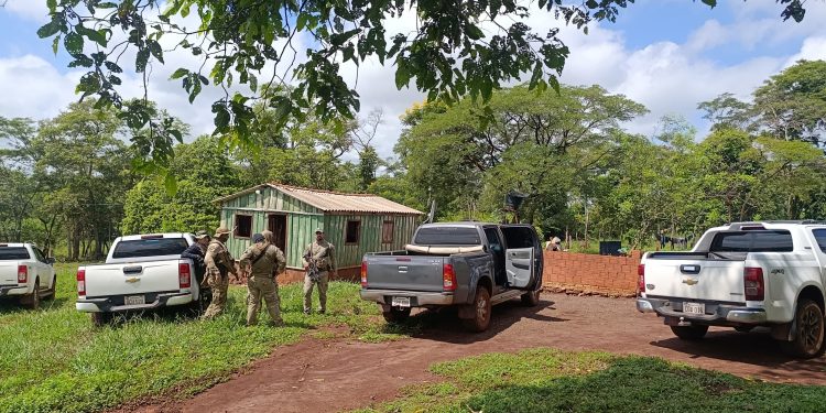 Desmantelan enclave de producción de variedades premium de cannabis destinadas al mercado brasileño