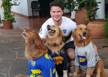 Automovilista fallece en accidente y su mascota, que lo acompañaba, sobrevivió