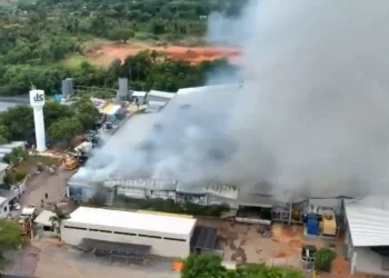 Complejo industrial de alimentos para animales se incendia en Limpio