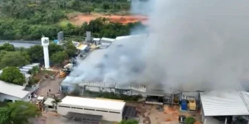 Complejo industrial de alimentos para animales se incendia en Limpio