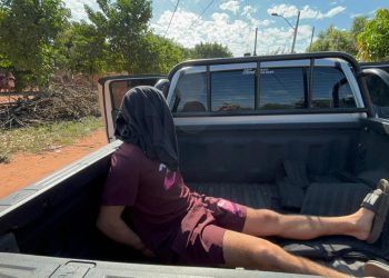 Detienen a presunto cómplice de alias «Pingui»