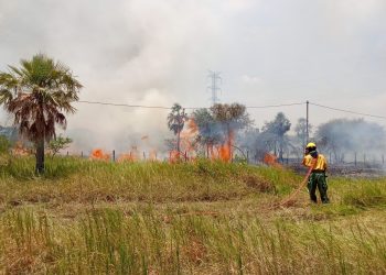 Efectivos militares combaten incendio forestal en las cercanías del Puente Héroes del Chaco