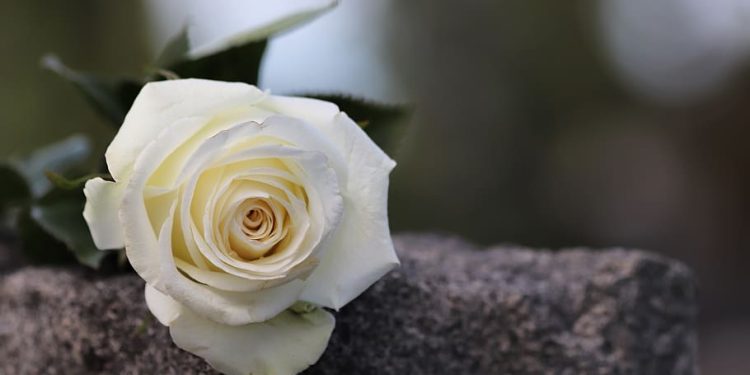 Falleció hermano menor de exsenadora Kattya González