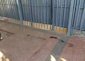 Asalto a distribuidora: se llevan fármacos adelgazantes y hieren a guardia