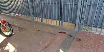 Asalto a distribuidora: se llevan fármacos adelgazantes y hieren a guardia