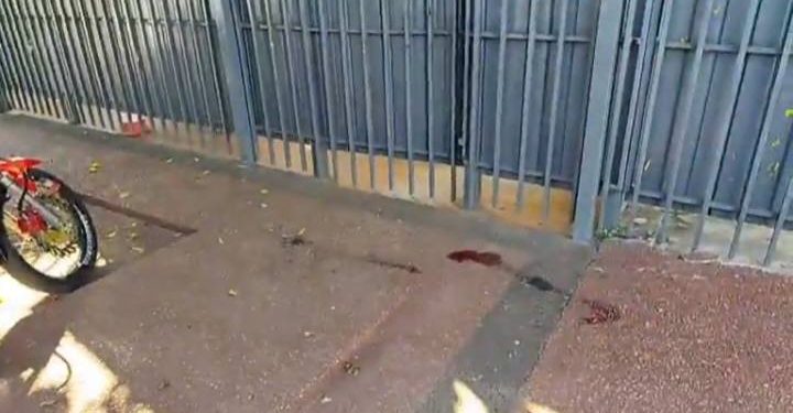 Asalto a distribuidora: se llevan fármacos adelgazantes y hieren a guardia