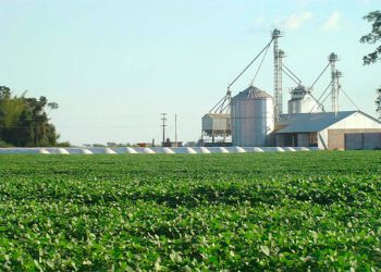 La volatilidad del mercado mundial y su impacto en el sector productivo paraguayo