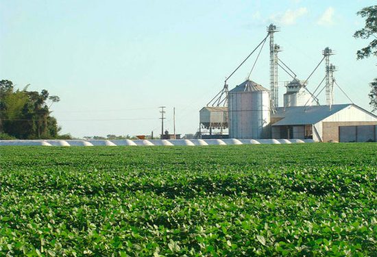 La volatilidad del mercado mundial y su impacto en el sector productivo paraguayo