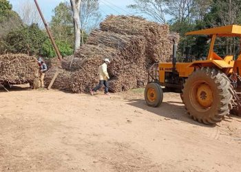 Cañicultores afirman que planta de Troche estaba avanzando sin problemas hasta que llegó Peña