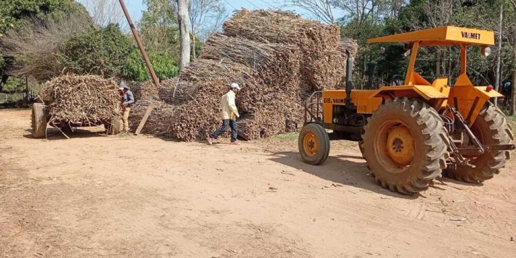 Cañicultores afirman que planta de Troche estaba avanzando sin problemas hasta que llegó Peña