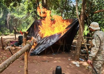 SENAD desmantela campamentos y destruyen 15 toneladas de marihuana