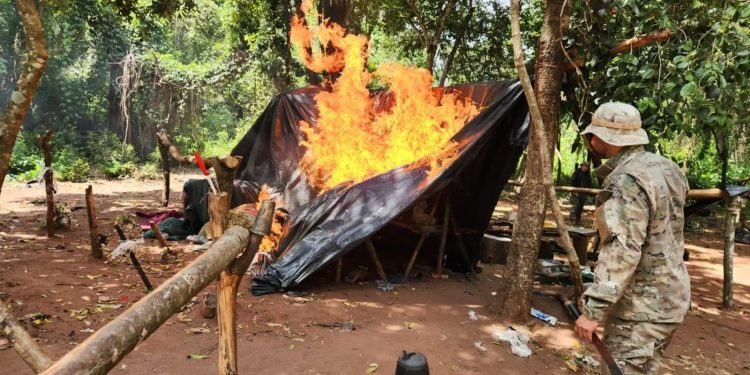 SENAD desmantela campamentos y destruyen 15 toneladas de marihuana