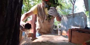 Senepa intensifica acciones en todo el país por la Semana Santa