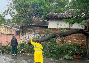 Temporal azotó con fuerza a Asunción y alrededores