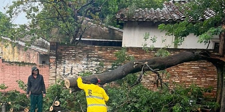 Temporal azotó con fuerza a Asunción y alrededores