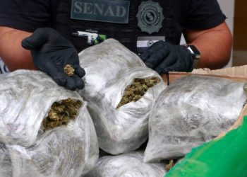 Interceptan carga de marihuana destinada al microtráfico en Asunción