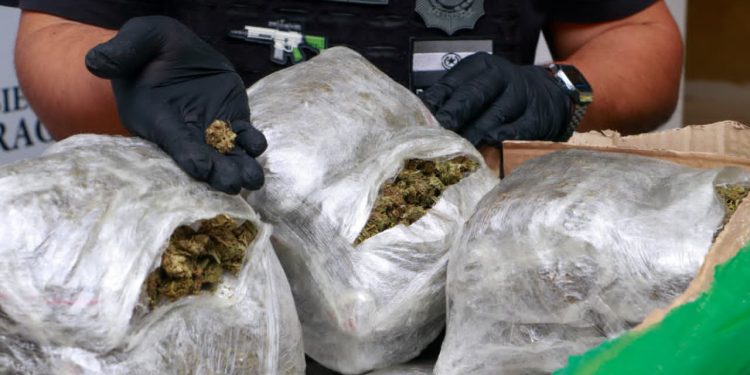 Interceptan carga de marihuana destinada al microtráfico en Asunción