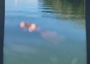 Hallaron el cadáver de un joven de 21 años en río Acaraymí