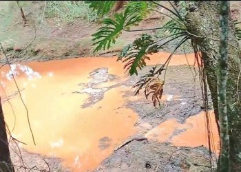 Fiscalía toma muestras de agua del arroyo Gasory ante sospecha de contaminación