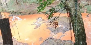Fiscalía toma muestras de agua del arroyo Gasory ante sospecha de contaminación
