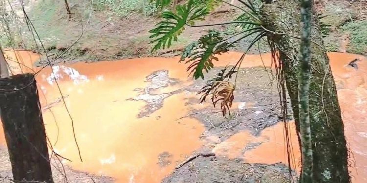 Fiscalía toma muestras de agua del arroyo Gasory ante sospecha de contaminación