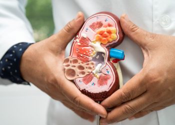 Hoy se celebra el Día Mundial del Riñón