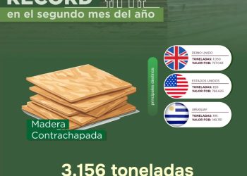 Paraguay fortalece su comercio forestal con mayor industrialización