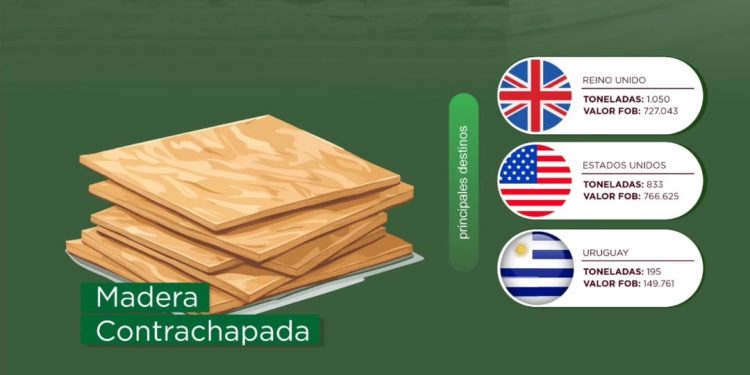 Paraguay fortalece su comercio forestal con mayor industrialización