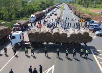 Cañicultores emplazan a Petropar y advierten movilización con 500 vehículos