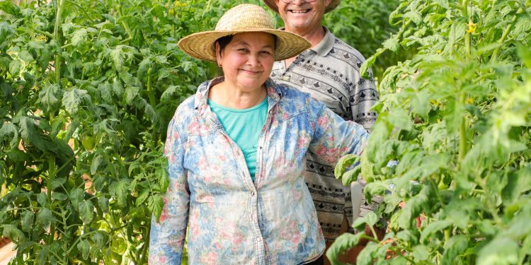 AFD lanza bonos por G 71.000 millones para impulsar el desarrollo de mujeres