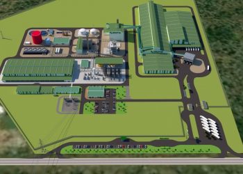 Financiamiento internacional para fertilizantes verdes en Villeta