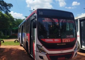 Pasajera de motobolt fallece arrollada por un colectivo