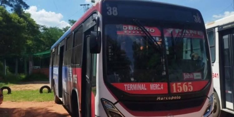 Pasajera de motobolt fallece arrollada por un colectivo