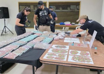 Imputan a dominicano tras decomiso de 40 mil dosis de éxtasis