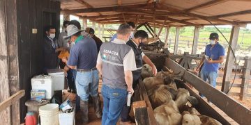 Senacsa invierte Gs. 40.000 millones para impulsar proyectos productivos