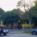 Horror en Argentina: alumno llevó escopeta a la escuela y mató a un compañero