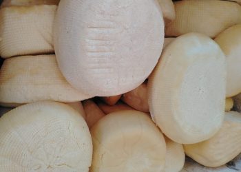 Alta demanda impulsa a San Pedro a producir 2.400 kilos de queso por semana