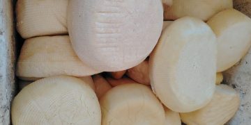 Alta demanda impulsa a San Pedro a producir 2.400 kilos de queso por semana