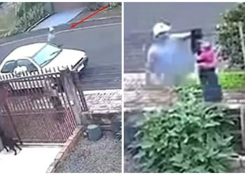 Horror en Brasil: menor de 17 fue asesinada por su ex con su bebé en brazos